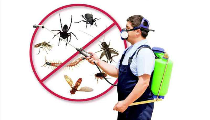 ضررهای پودر سوسک کش برای انسان