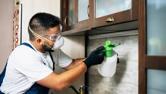 خطرات سم پاشی برای حیوانات خانگی
