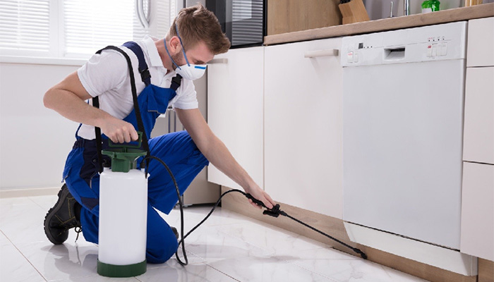 خطرات سم پاشی برای حیوانات خانگی