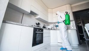 سم پاشی کابینت آشپزخانه